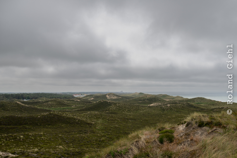 Sylt-2025_054_20250616