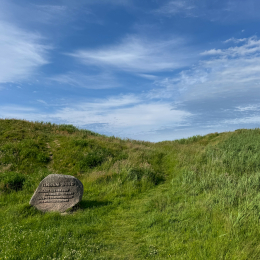 Sylt-2025_039_20250615