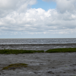 Sylt-2025_143_20250625