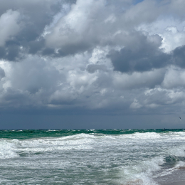 Sylt-2025_131_20250623