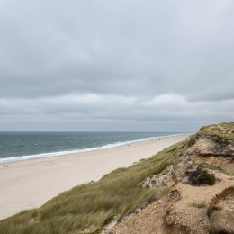 Sylt-2025_047_20250616