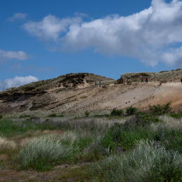 Sylt-2025_145_20250625