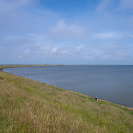 Sylt-2025_034_20250615