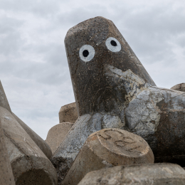 Sylt-2025_030_20250615