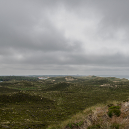 Sylt-2025_054_20250616