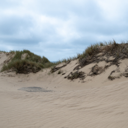 Sylt-2025_046_20250616