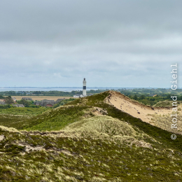 Sylt-2025_055_20250616
