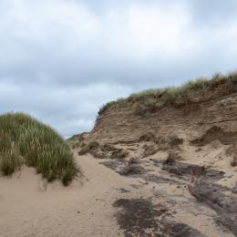 Sylt-2025_043_20250616