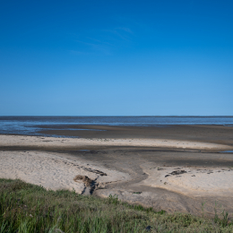 Sylt-2025_109_20250620