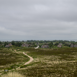 Sylt-2025_053_20250616