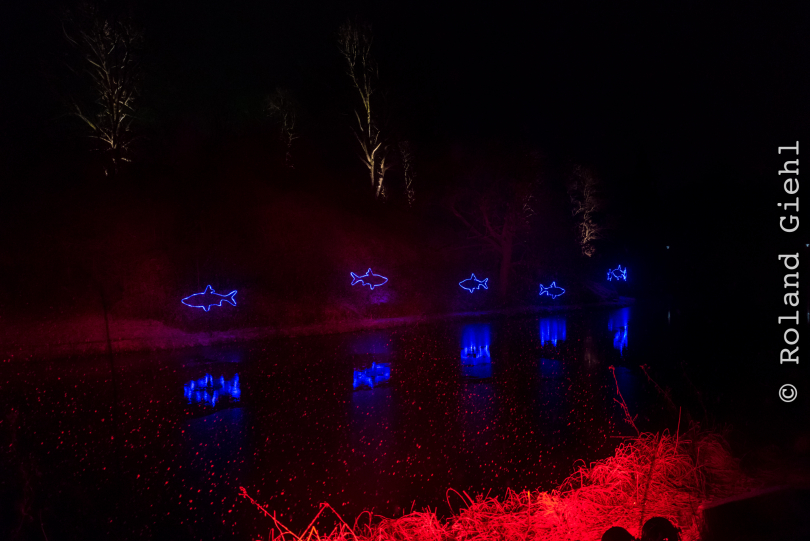 Luisienpark_Mannheim_Winterlichter_20150124_338