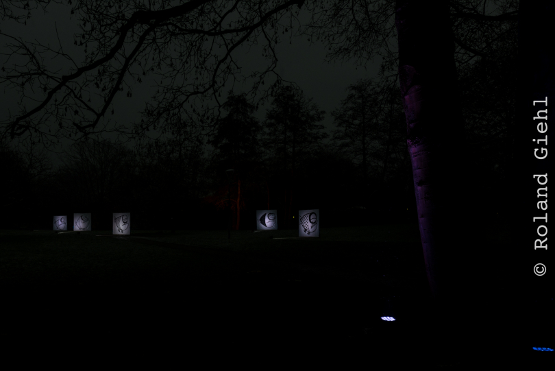 Luisienpark_Mannheim_Winterlichter_20150124_300