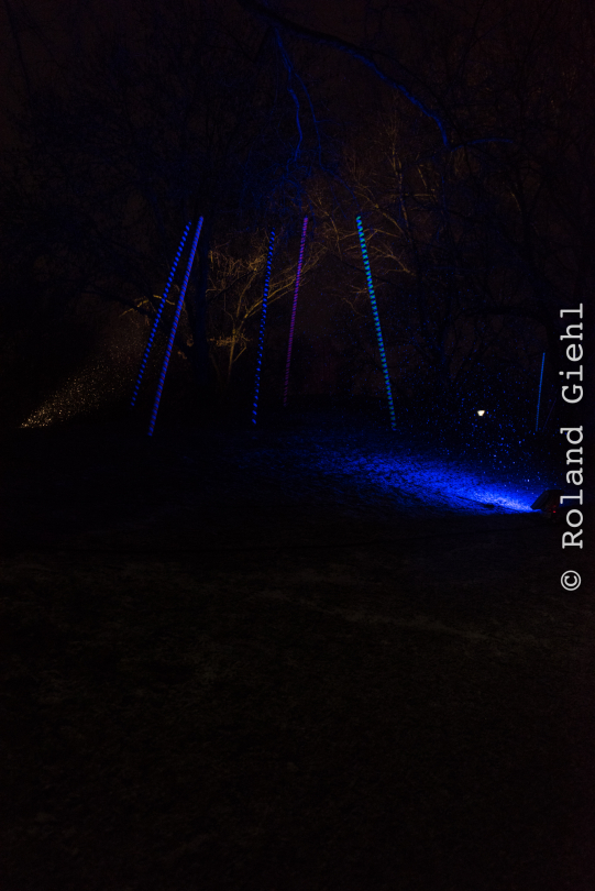 Luisienpark_Mannheim_Winterlichter_20150124_336