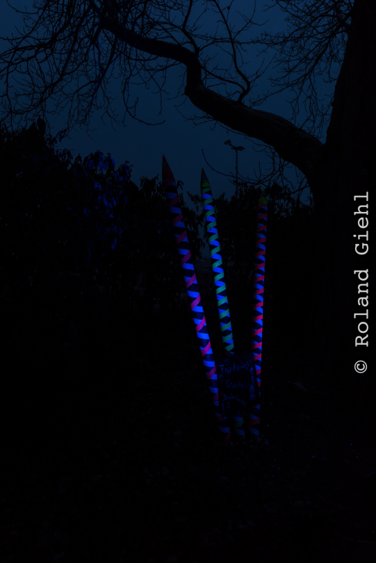 Luisienpark_Mannheim_Winterlichter_20150124_296