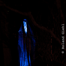 Palmengarten_Winterlichter_037_20250111