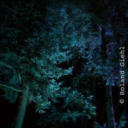 Palmengarten_Winterlichter_029_20250111