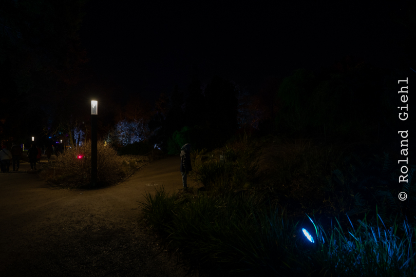 Palmengarten_Winterlichter_028_20250111
