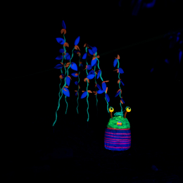 Palmengarten_Winterlichter_024_20250111