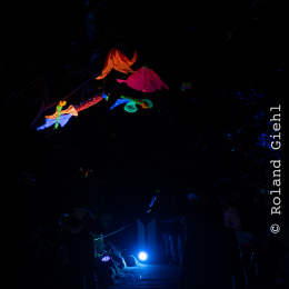 Palmengarten_Winterlichter_023_20250111