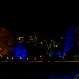 Palmengarten_Winterlichter_036_20250111