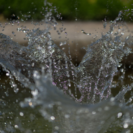 Palmengarten_Frankfurt-20130721-04