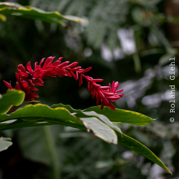 Palmengarten_026_20250928