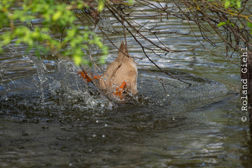 Tierpark-Bell_028_20250420