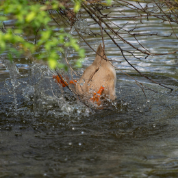 Tierpark-Bell_028_20250420