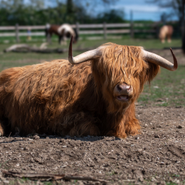 Tierpark-Bell_023_20250420