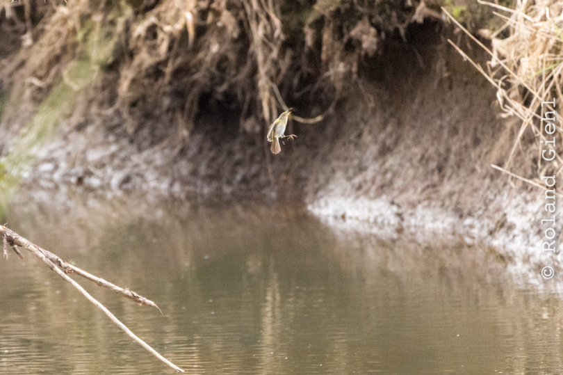Wetterauer-Seenplatte-Utphe_20210328_0009