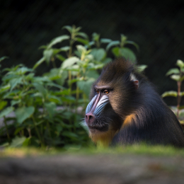 Hamburg_20160507_714